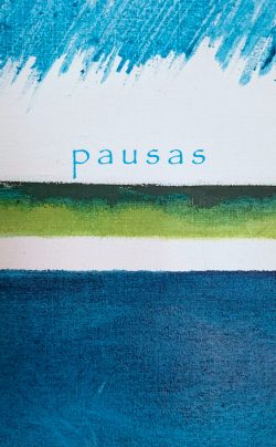 Pausas